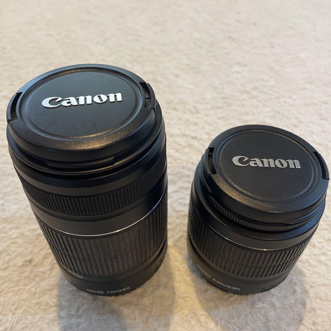 Canon EOS KISS X5 / ミラーレス一眼