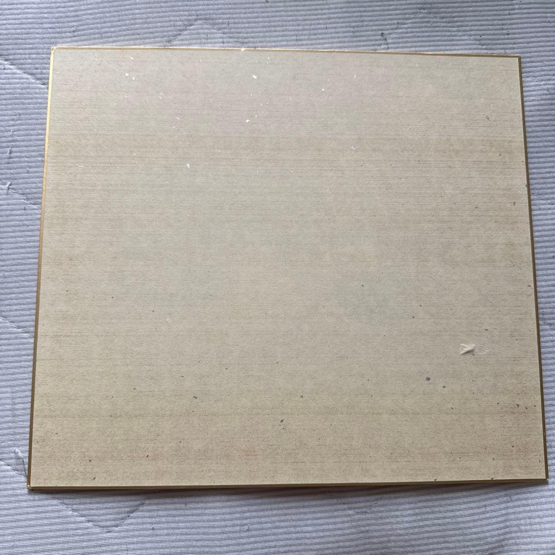 Justin Bieber ジャスティン・ビーバー　生サイン色紙