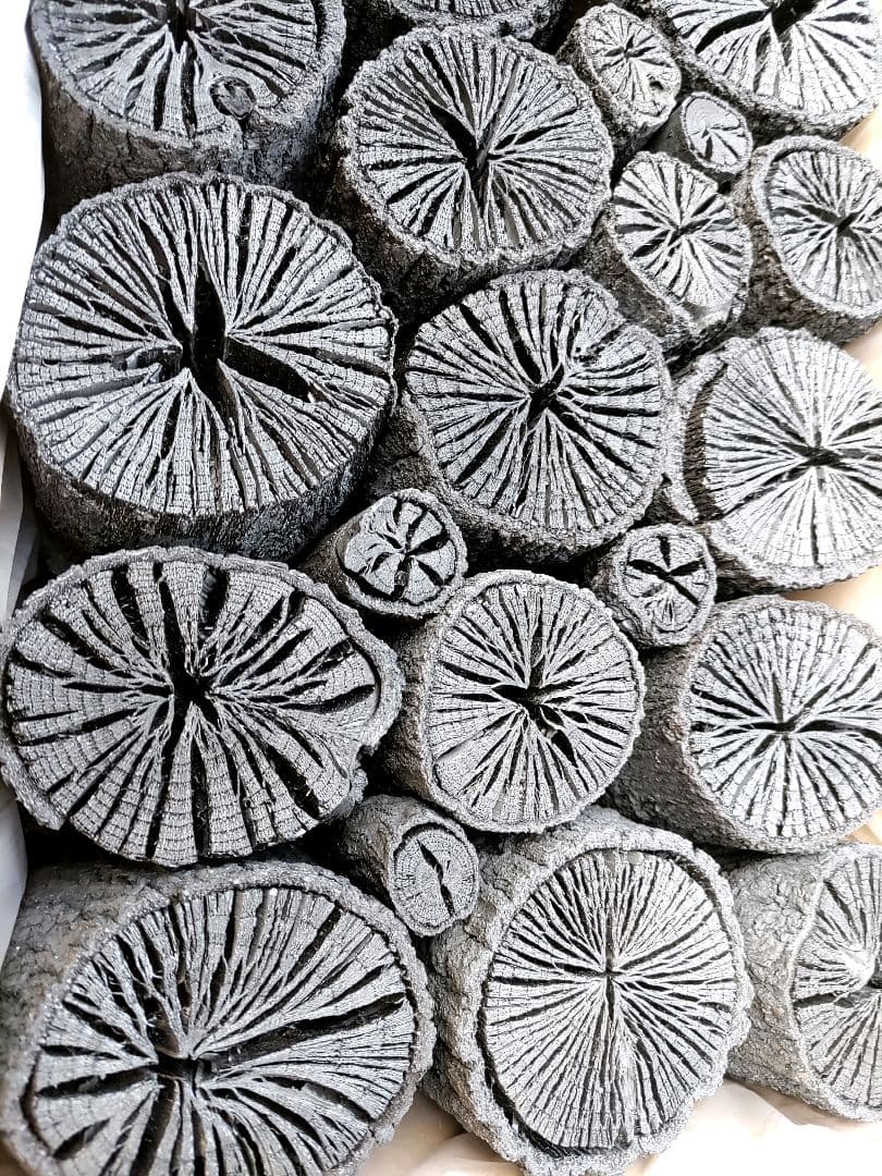 【 伊予の切炭 】約6kg 菊炭 黒炭 太め