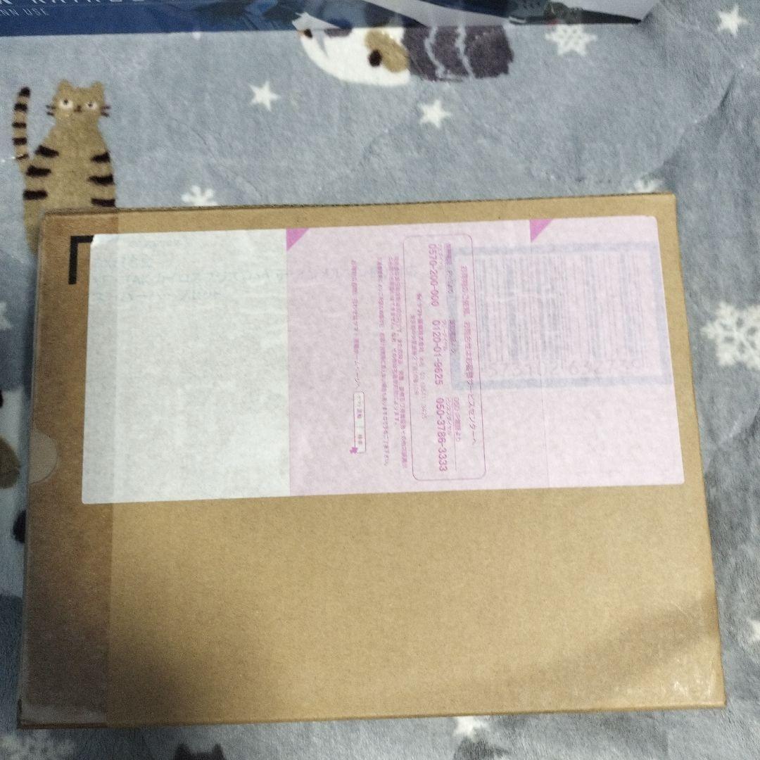 初回限定版 VF-31AX カイロスプラス（ハヤテ・インメルマン機）