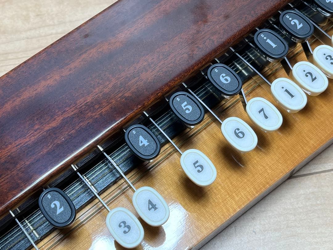 大正琴 エレキ ヤマハ YAMAHA TH-10E