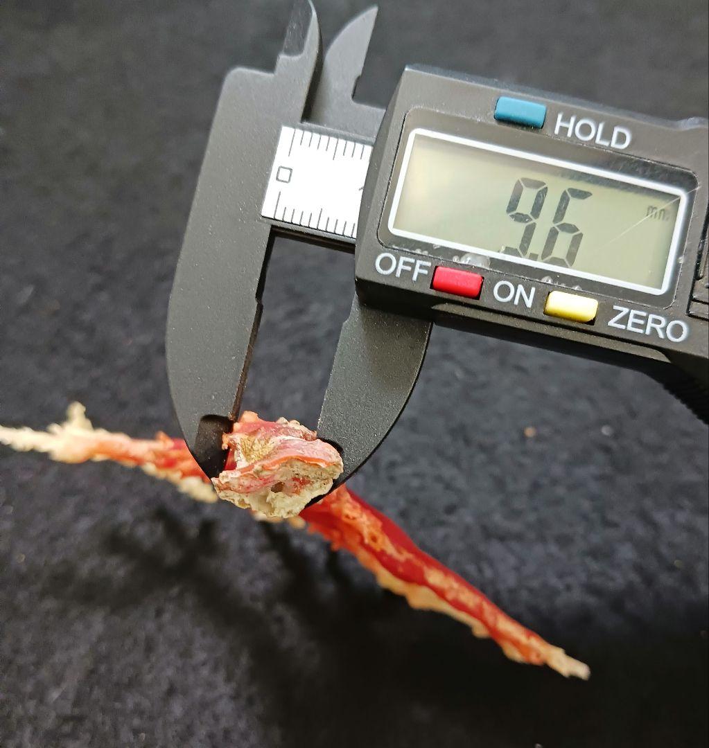 2678-6 国産赤珊瑚原木 血赤珊瑚 総重量12.6g