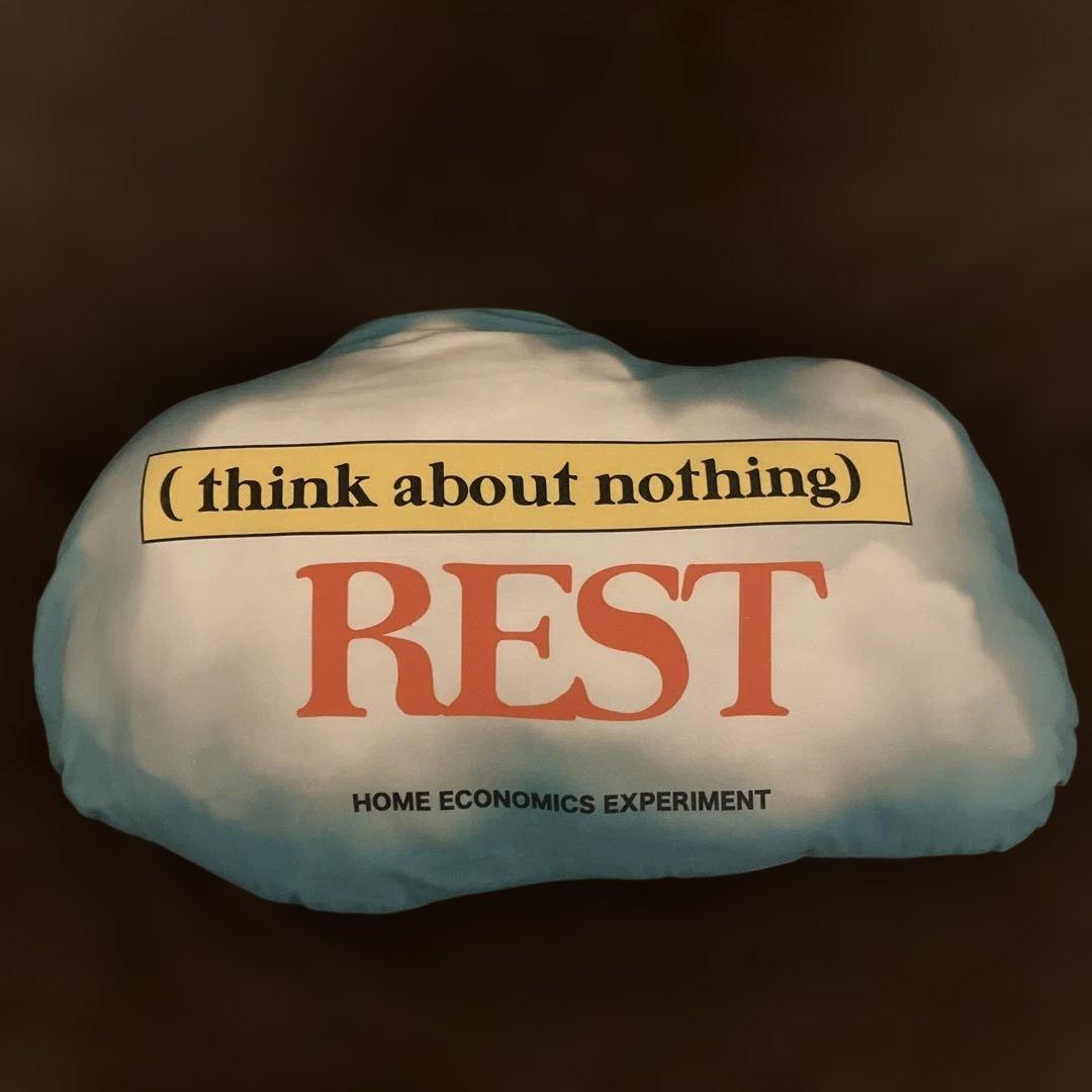 ホームエコノミクスエクスペリメン クッション