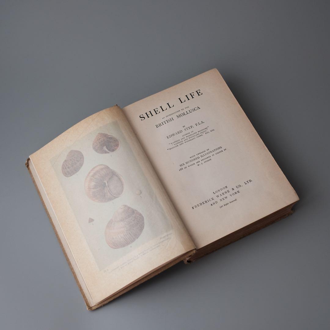 1927年にイギリスで出版された自然科学系の古書 アンティーク