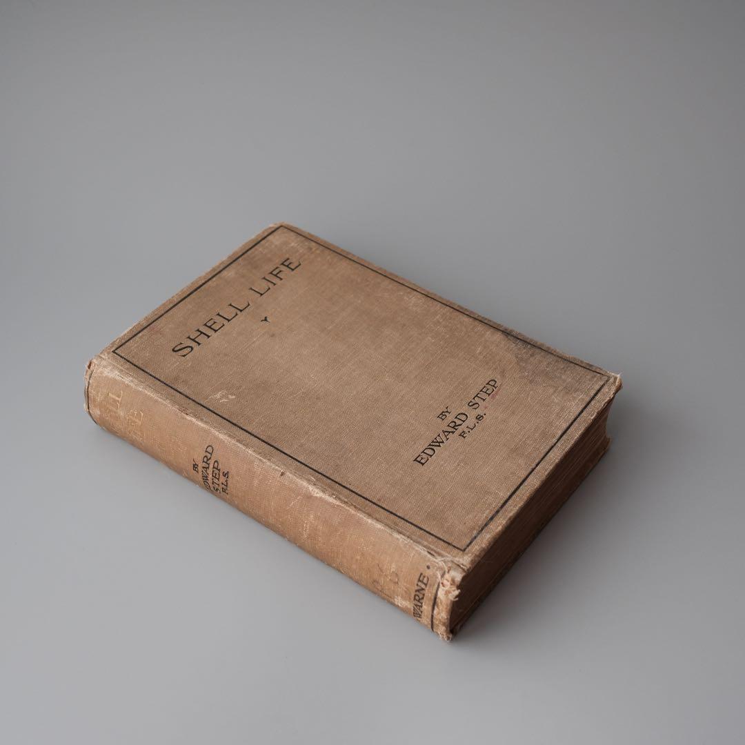 1927年にイギリスで出版された自然科学系の古書 アンティーク