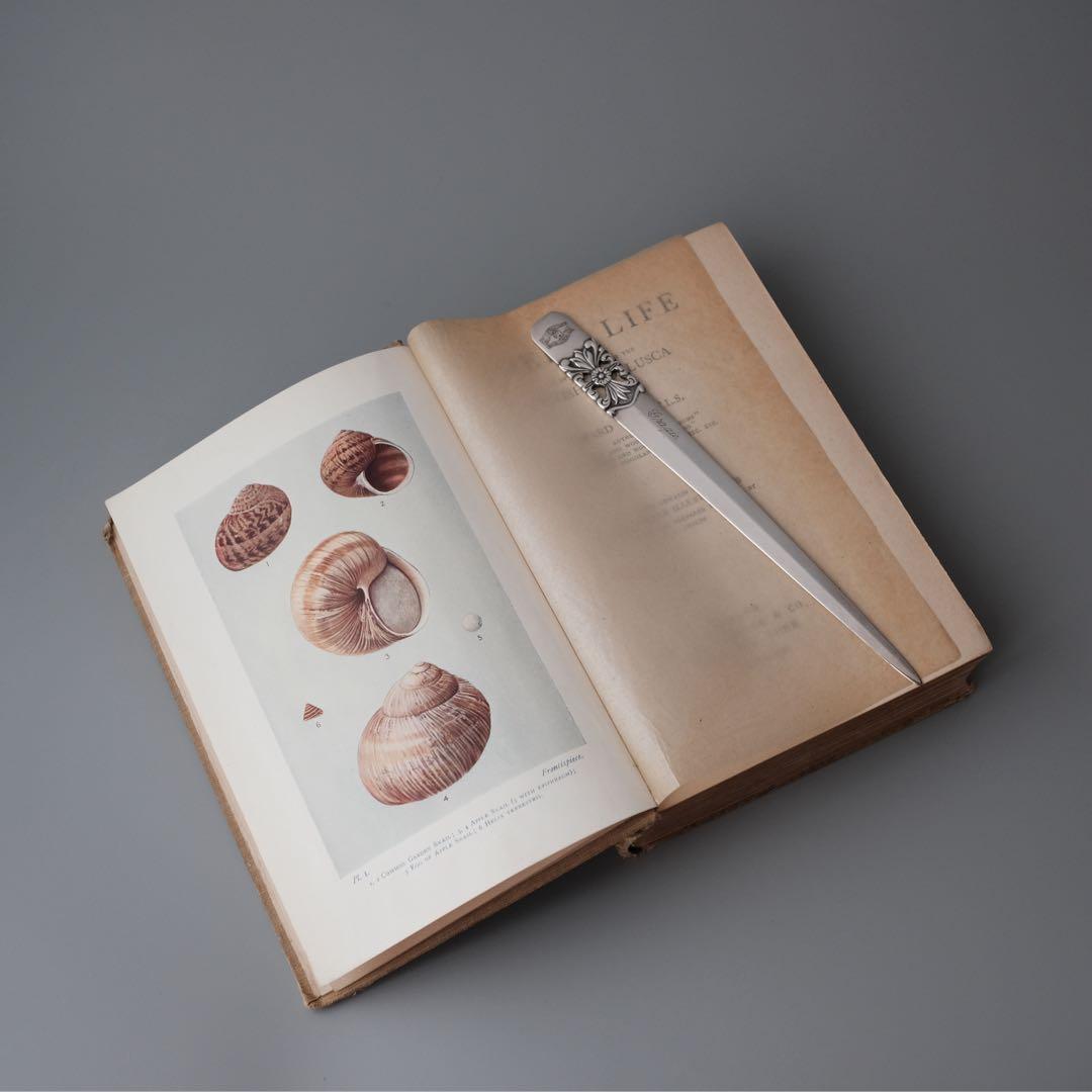 1927年にイギリスで出版された自然科学系の古書 アンティーク