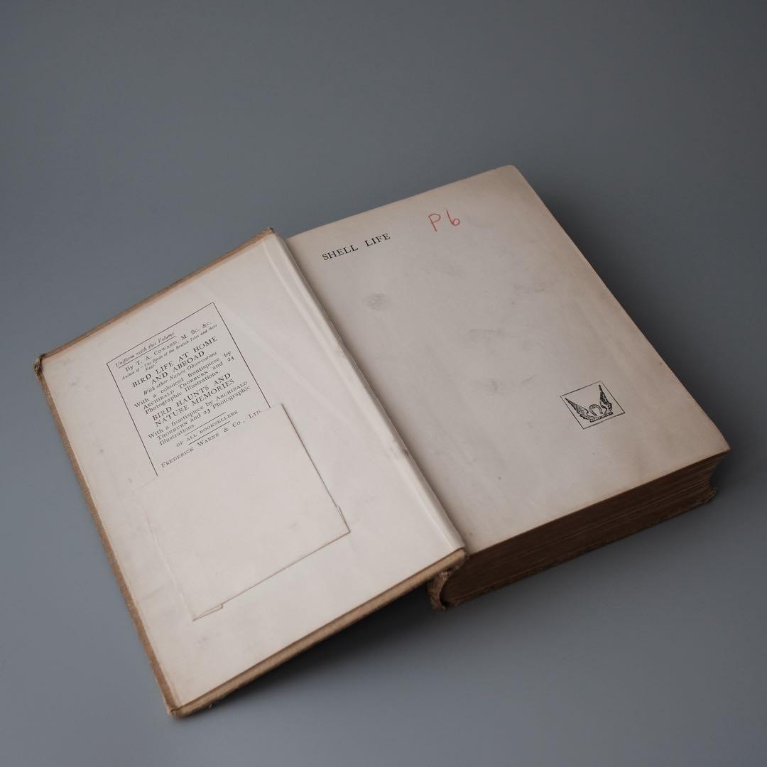 1927年にイギリスで出版された自然科学系の古書 アンティーク