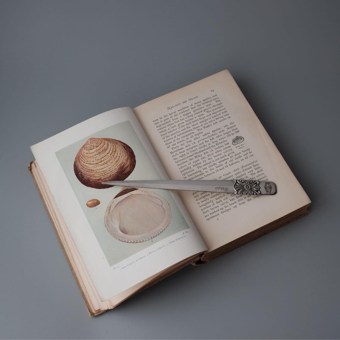 1927年にイギリスで出版された自然科学系の古書 アンティーク