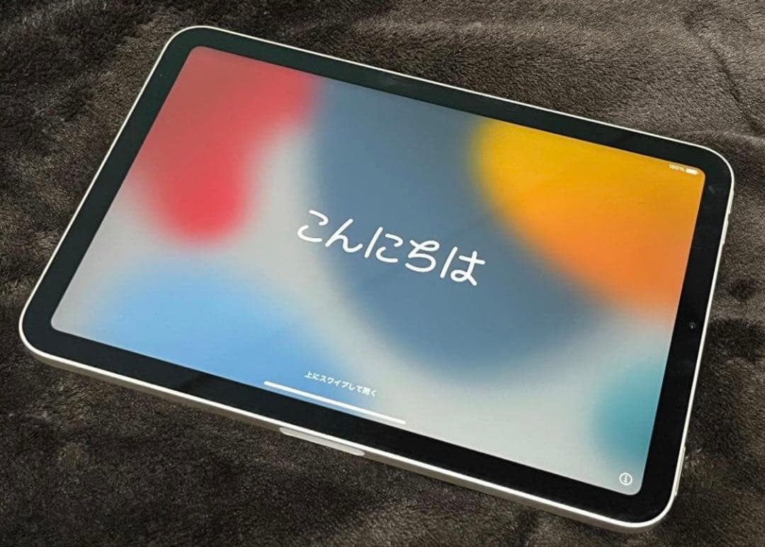 ペ*ロ様 iPad mini 第6世代 Wi-Fiモデル 64G＋Apple P