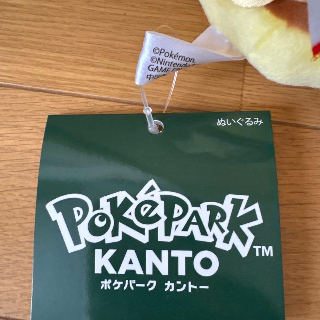 ポケパーク カントー ピカチュウ ぬいぐるみ　ポケモン