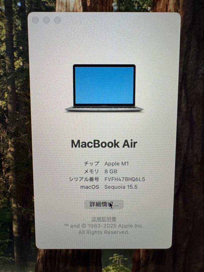 バッテリー100% MacBook Air 2020 M1 8GB 13.3