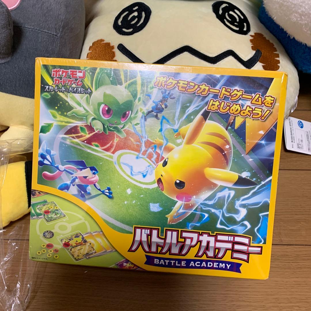 未使用バトルアカデミー　ポケモンぬいぐるみまとめ売り　バラ売り相談ください^_^