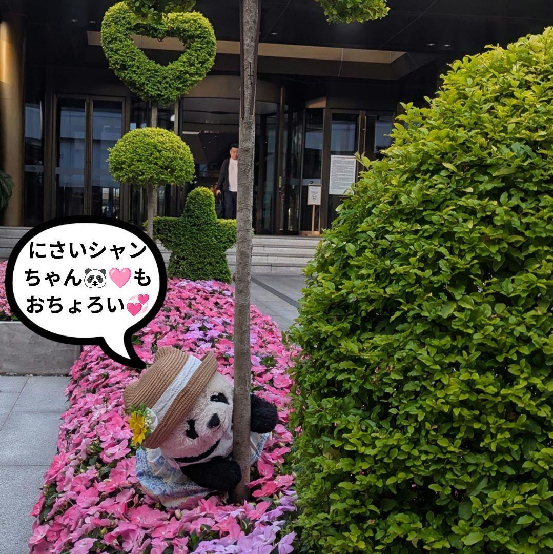 シャンシャン様♡の２歳シャンちゃん♡シャオたんレイたんBirthdayふるせっと