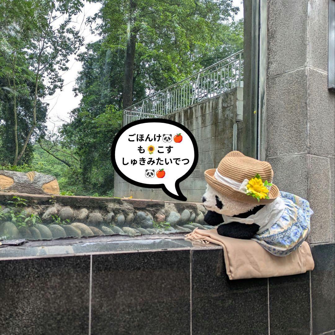 シャンシャン様♡の２歳シャンちゃん♡シャオたんレイたんBirthdayふるせっと