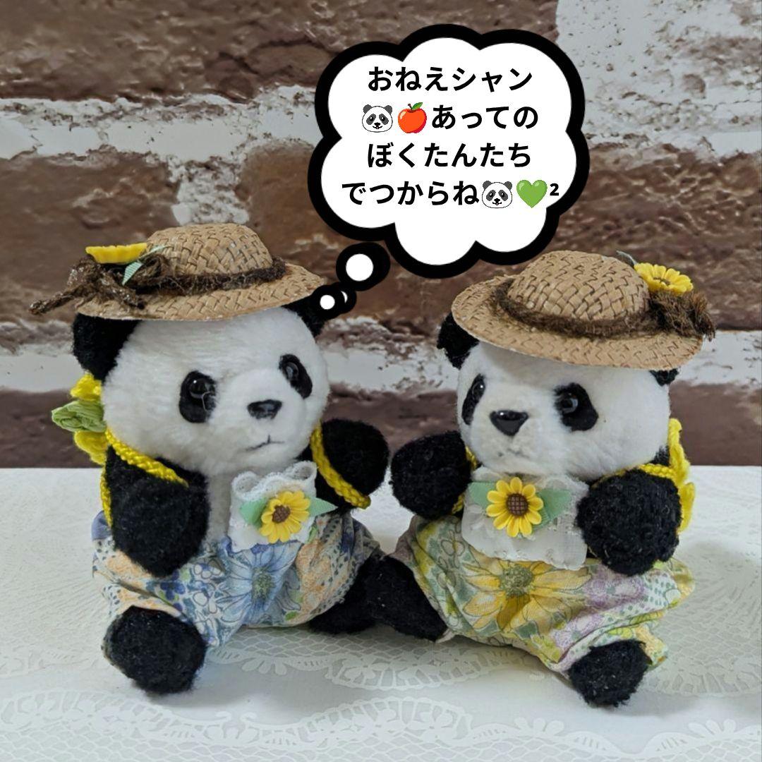 シャンシャン様♡の２歳シャンちゃん♡シャオたんレイたんBirthdayふるせっと