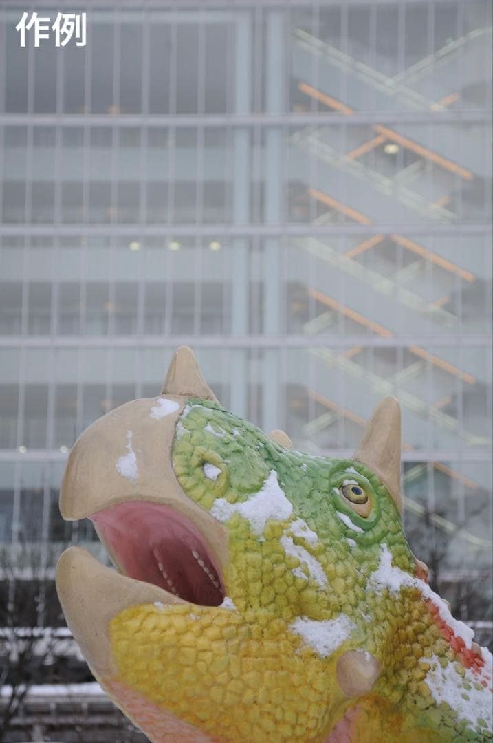 美品　Nikon D300S　AF-S 18-105 3.5-5.6レンズ付き