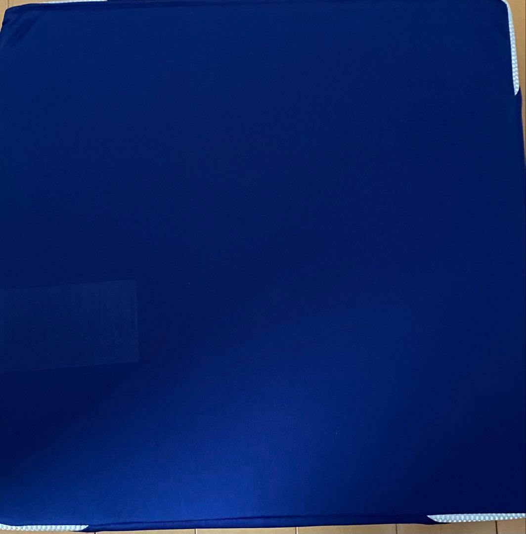 SHOHEI OHTANI限定座布団AIR PORTABLE nishikawa