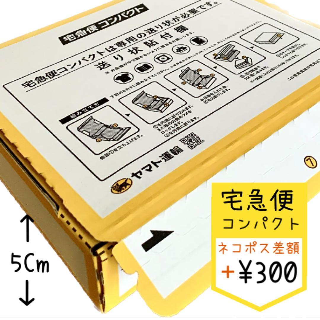 保存★オーダー見本