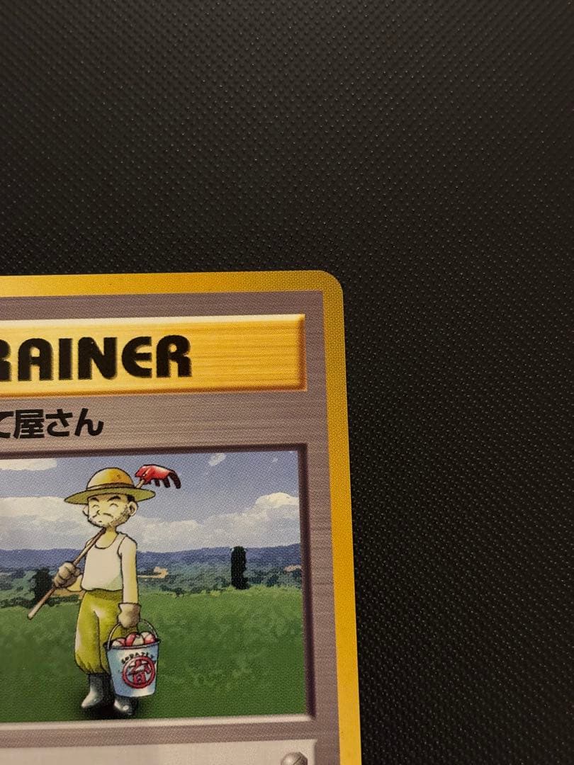 旧裏　極上美品　ポケモン育て屋さん 第1弾　初版　マークあり　センタリング◎