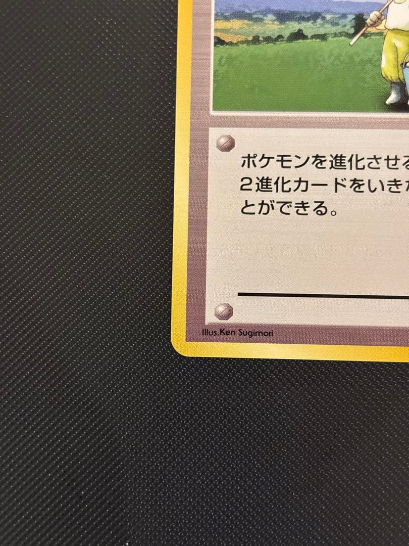 旧裏　極上美品　ポケモン育て屋さん 第1弾　初版　マークあり　センタリング◎