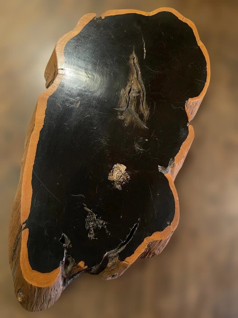 希少 大型 本黒檀 花瓶台 盆栽 花台 飾り台 一枚板 切り株 輪切 華道