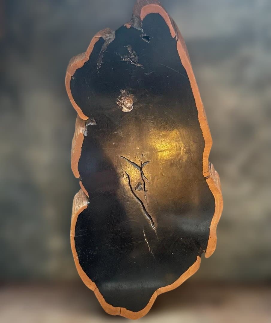 希少 大型 本黒檀 花瓶台 盆栽 花台 飾り台 一枚板 切り株 輪切 華道