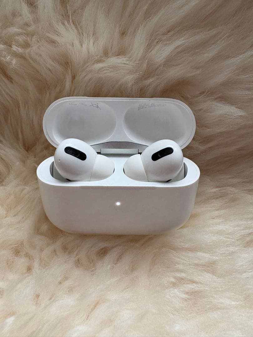 AirPods Pro 第一世代 本体 充電ケース、カバー付き