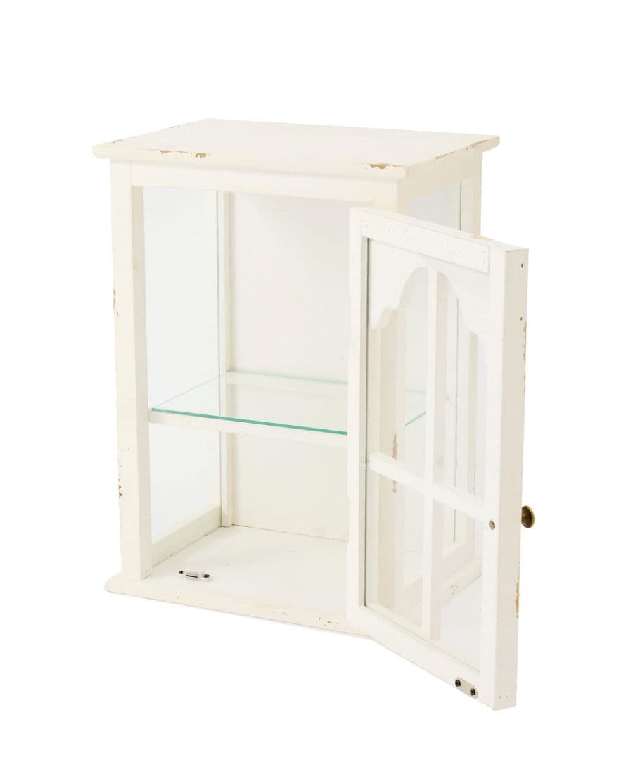 Salut! サリュ キャビネット コレクションケース アンティーク 雑貨