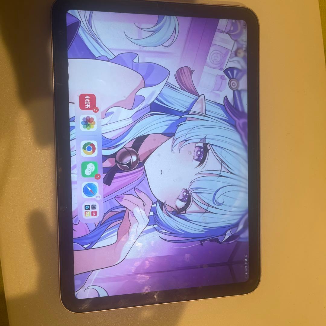 ipadmini6 256g wifiだけ