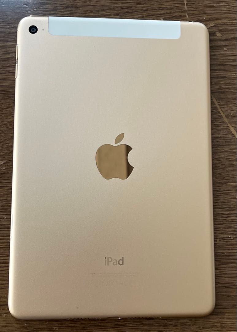 iPad本体 Apple iPad mini 4 128G