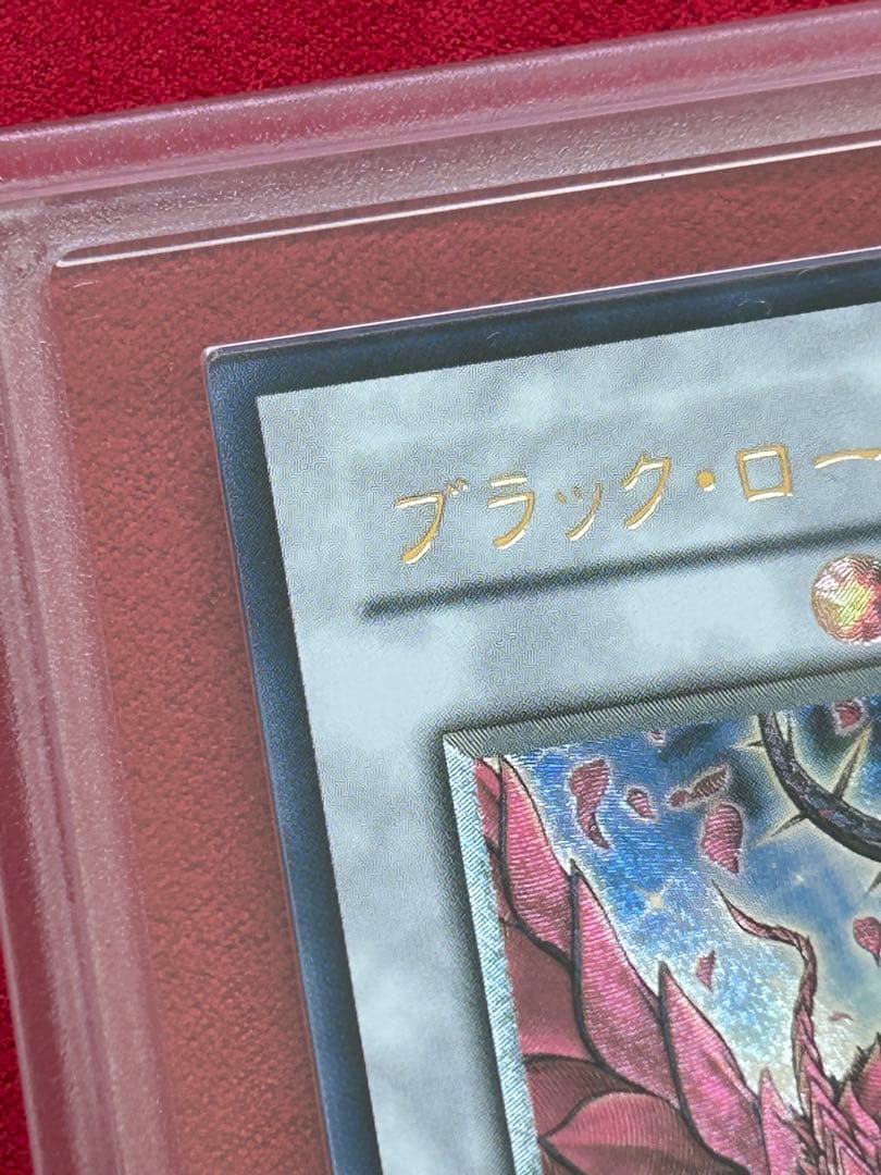 ブラックローズドラゴンレリーフARS10