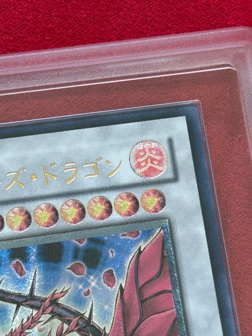 ブラックローズドラゴンレリーフARS10