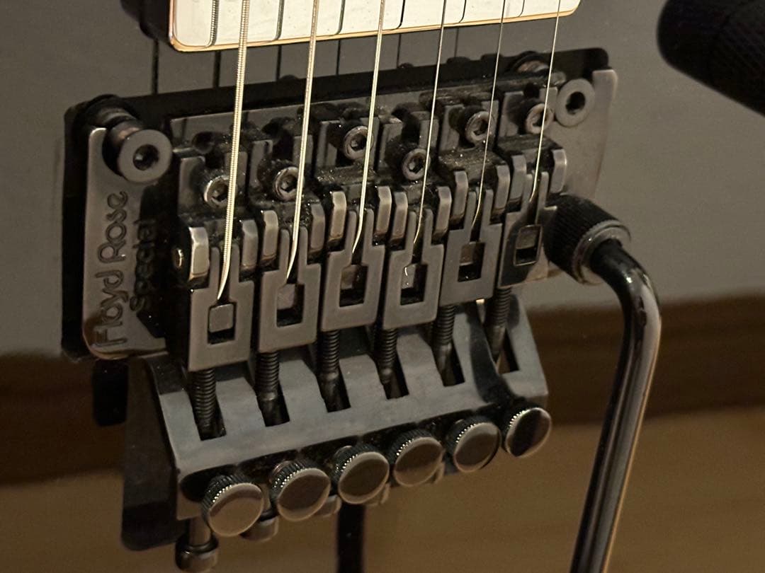 Futra / FST-240 ギターファクトリー 西尾知矢コラボ企画