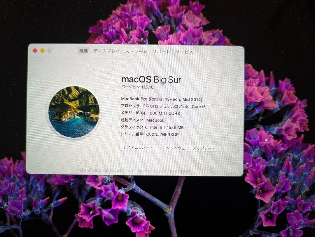 Apple MacBook Pro 13インチ (2014)