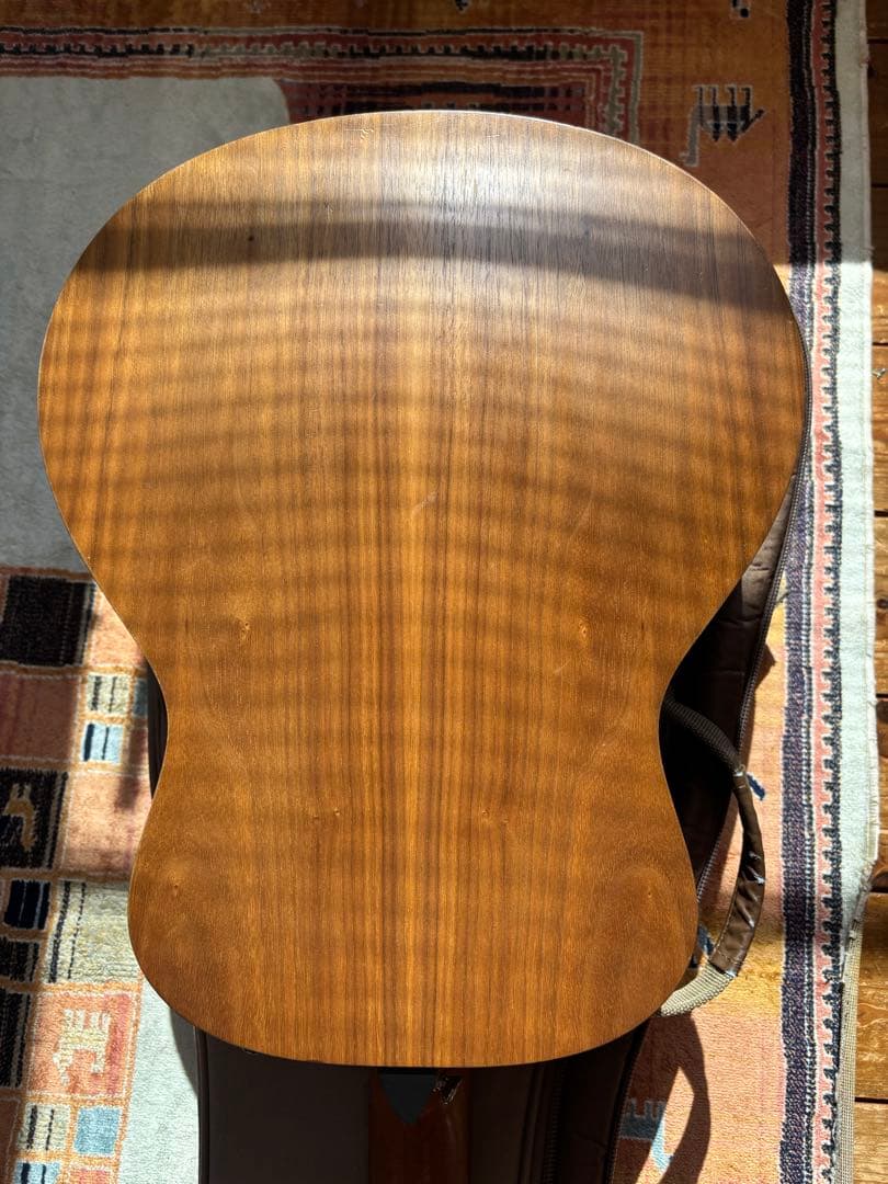 Taylor GS Mini-e Walnut アコースティックギター