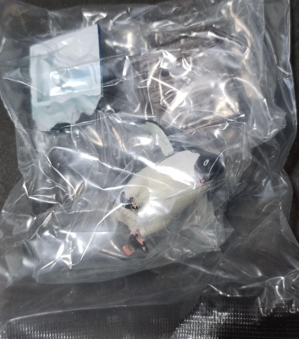 新品 南極 初期版(赤台座) 全8種 コンプリート ネイチャーテクニカラー