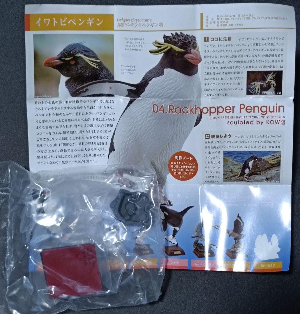 新品 南極 初期版(赤台座) 全8種 コンプリート ネイチャーテクニカラー