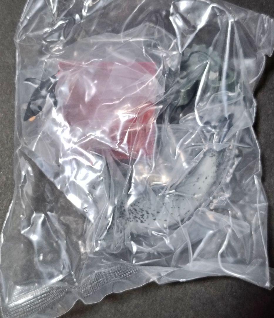 新品 南極 初期版(赤台座) 全8種 コンプリート ネイチャーテクニカラー