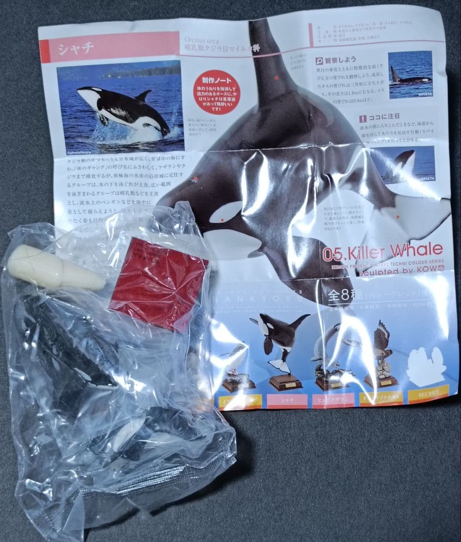 新品 南極 初期版(赤台座) 全8種 コンプリート ネイチャーテクニカラー