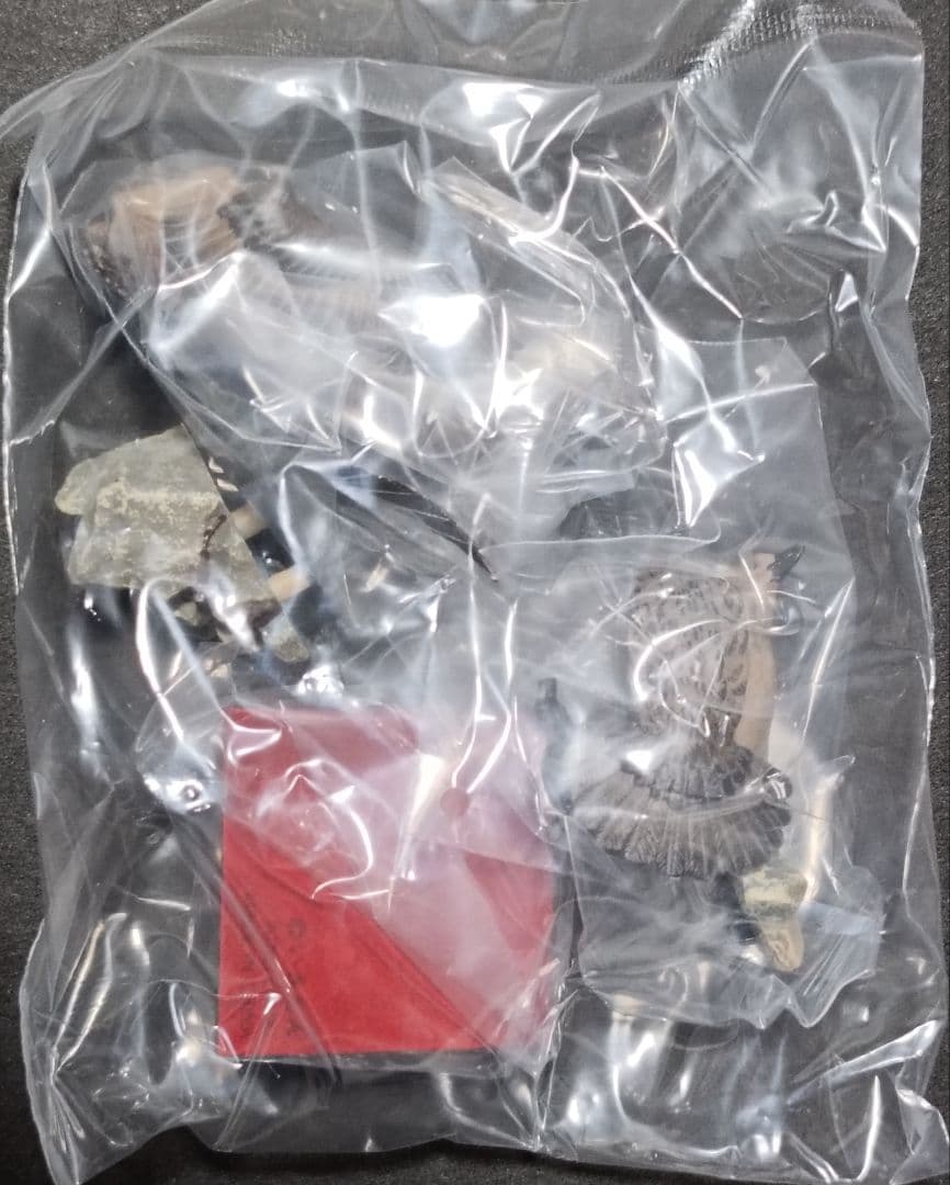 新品 南極 初期版(赤台座) 全8種 コンプリート ネイチャーテクニカラー