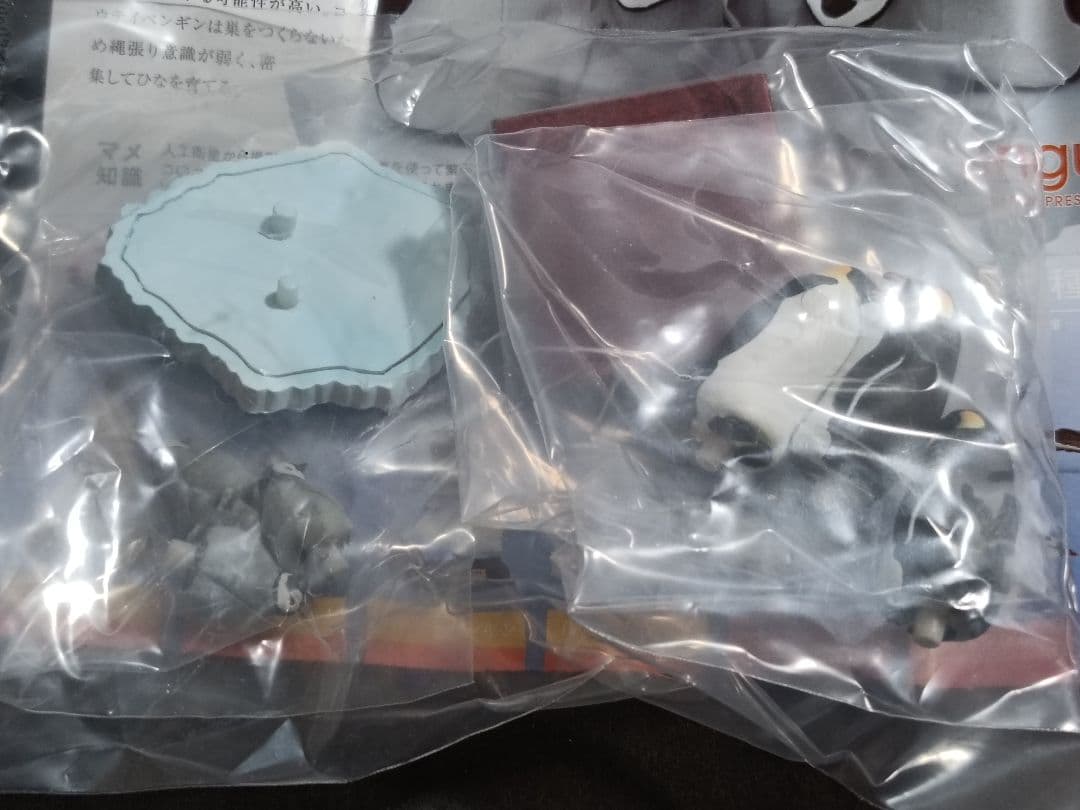 新品 南極 初期版(赤台座) 全8種 コンプリート ネイチャーテクニカラー