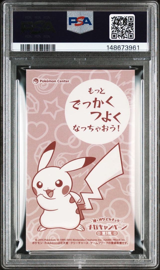 ポンチョを着たピカチュウ リザードン 名刺カード