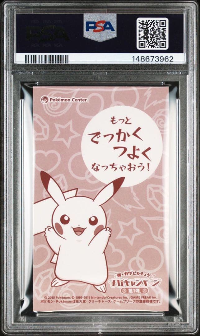 ポンチョを着たピカチュウ リザードン 名刺カード