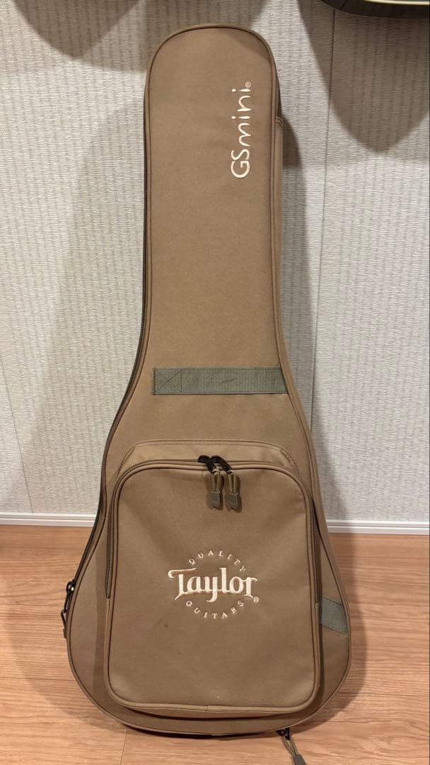Taylor GS Mini -e ［エレアコ］