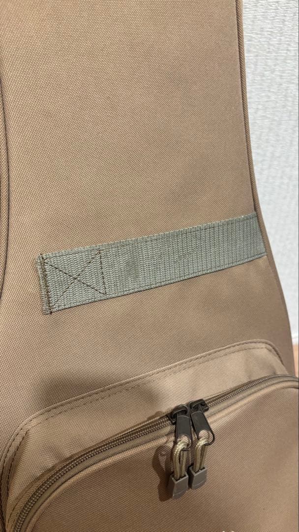 Taylor GS Mini -e ［エレアコ］