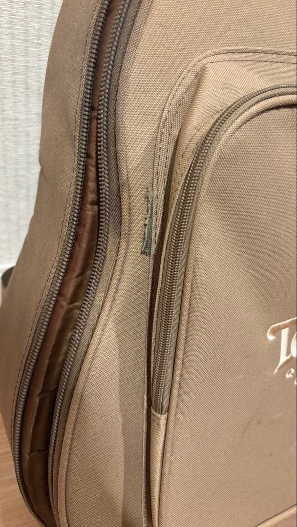 Taylor GS Mini -e ［エレアコ］