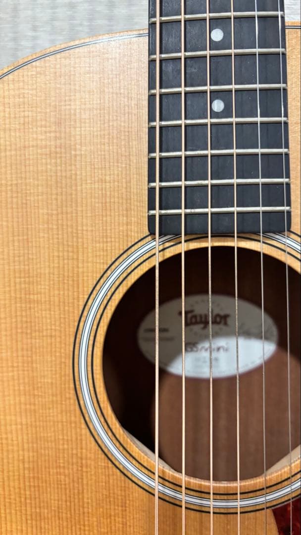 Taylor GS Mini -e ［エレアコ］