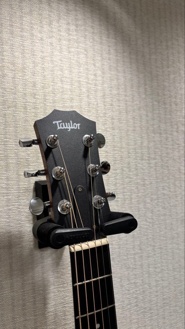 Taylor GS Mini -e ［エレアコ］