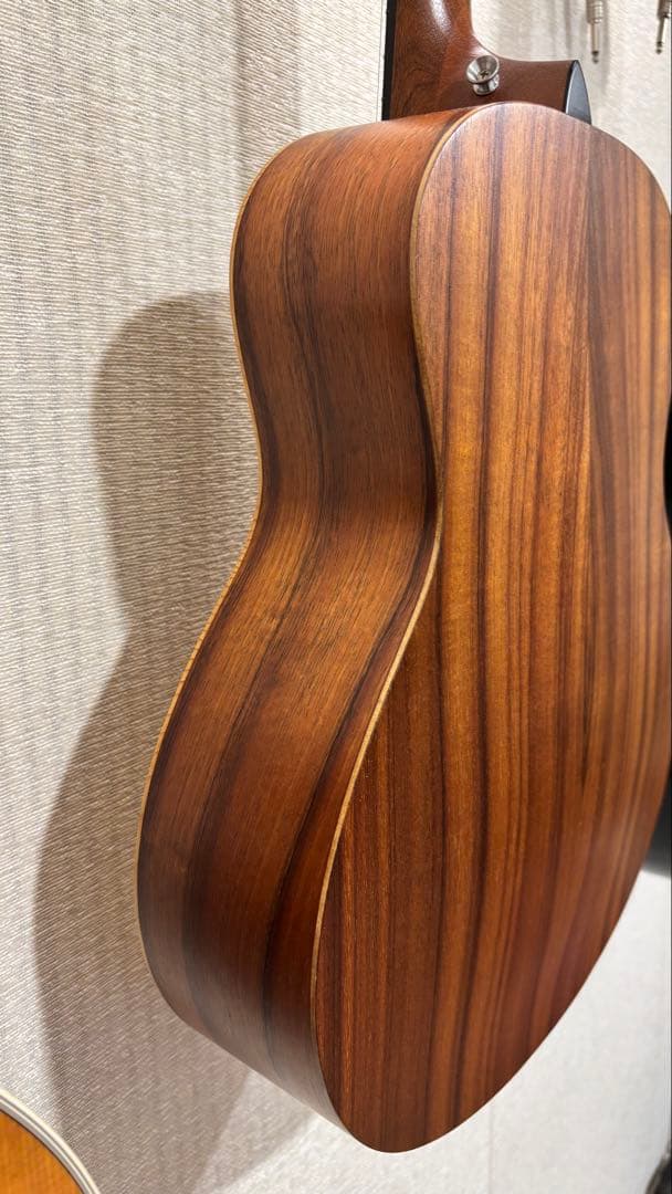 Taylor GS Mini -e ［エレアコ］