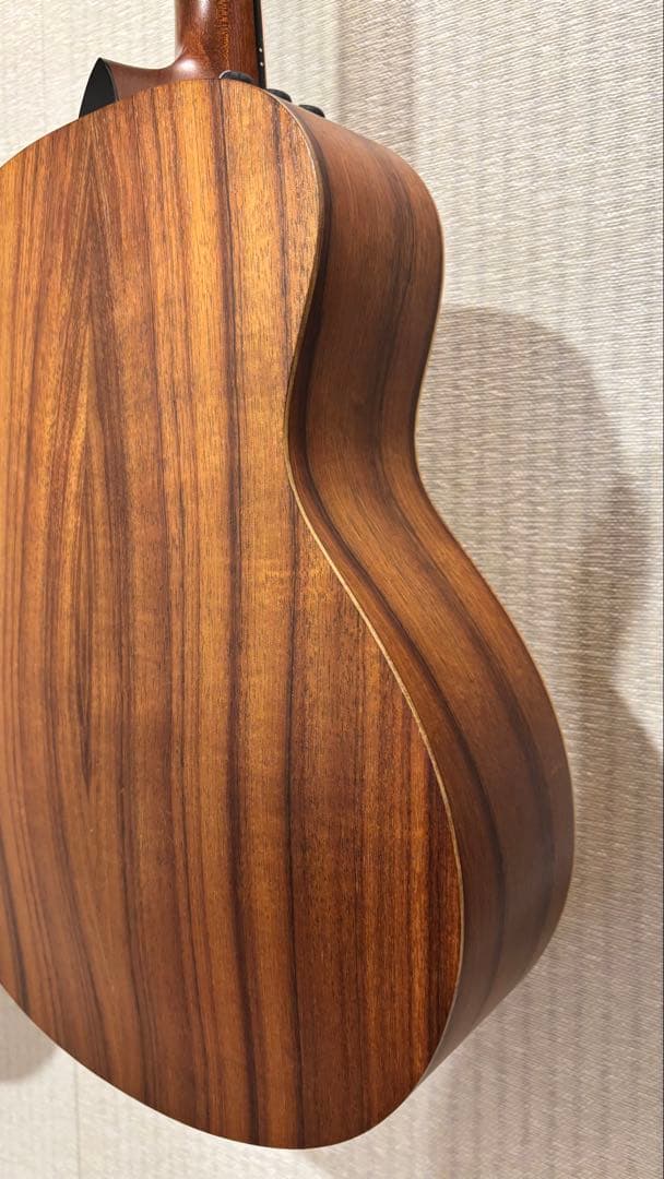 Taylor GS Mini -e ［エレアコ］